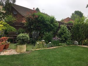 Photo 24- click for photo gallery